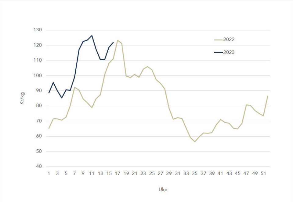 This year's average weekly spot price (blue line) and last year's (grey/green line).