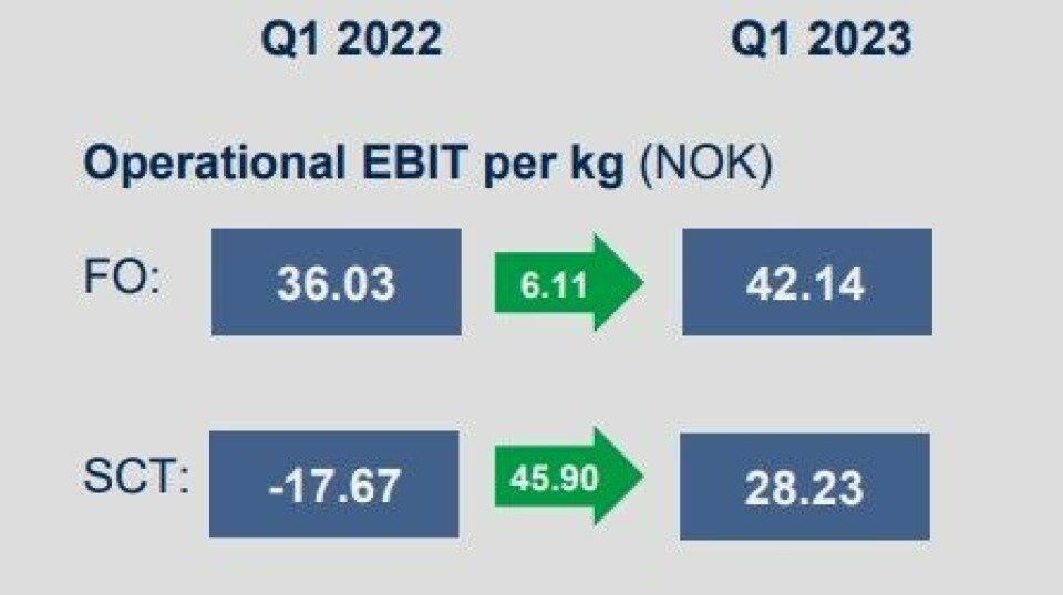Bakkafrost Scotland's EBIT per kilo showed a NOK 45.9 turnaround between Q1 2022 and Q1 2023.