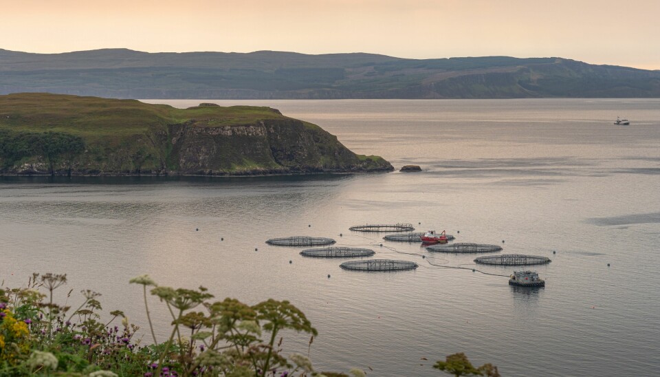 SAIC has now funded 100 projects designed to benefit Scottish aquaculture.