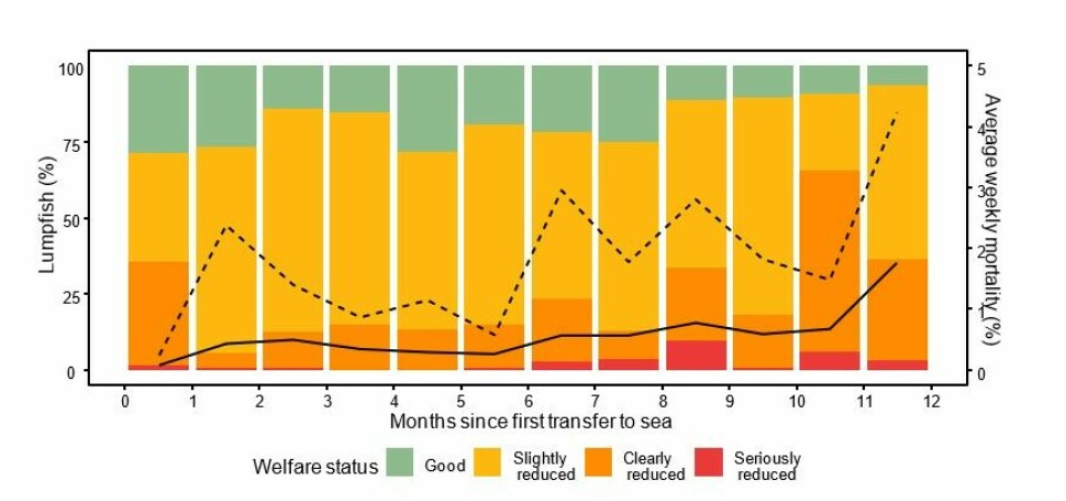 Development of lumpfish welfare and mortality at the studied sites grouped by the number of months since the first transfer to sea. The bars show the distribution of welfare status for each sampling month, while the average weekly mortality (%) is the black solid line and the dashed line is the standard deviation. Number of lumpfish assessed: 2,013.