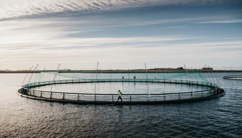 One of Grieg Seafood's locations in Rogaland, the production region it is keeping after agreeing to sell its operations in Finnmark, northern Norway, and in Canada.