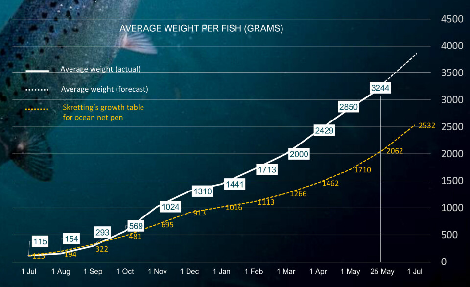 Andfjord Salmon's fish have reached an average weight of 3.244 kilos after 11 months.