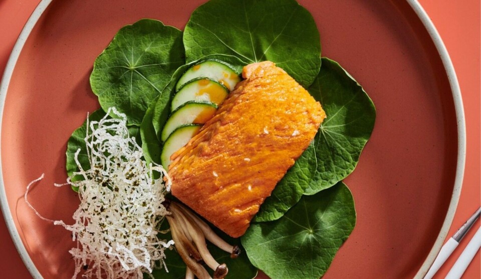 Oshi has developed a salmon analogue based on legume proteins and algae, but will now work to produce a fillet made from mycoprotein, an ingredient that can be grown in a fermenter in just a few hours.