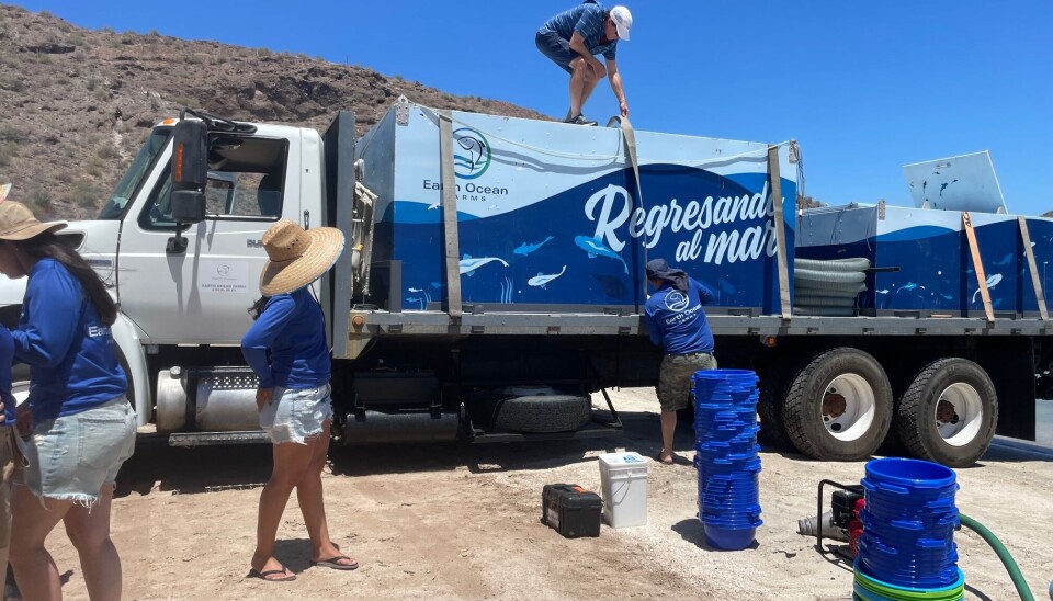 EOF transported the fish from La Paz, nine hours to the south.