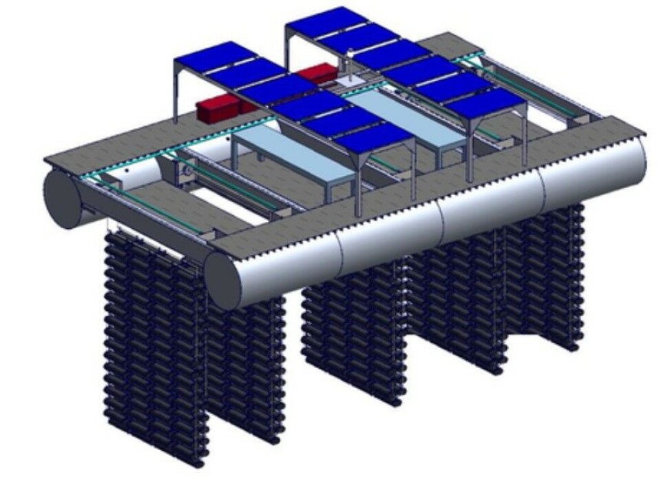 Rotating Ladder Rotating ladder system offers more oysters in less space