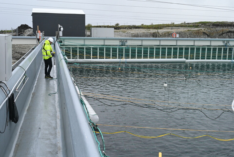 Andfjord Salmon's pilot pool where it produced its first 800 tonnes. The pool will not be re-stocked for a year.