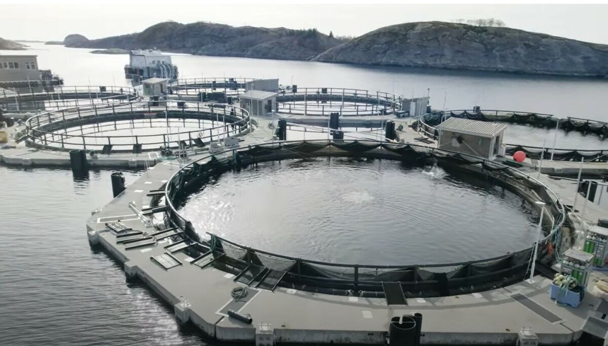 Closed containment salmon farmer sets sights on British Columbia