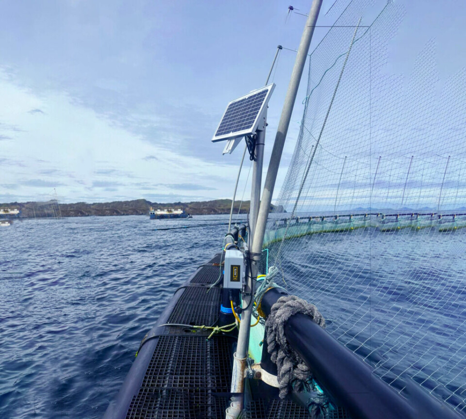 Krucial connectivity technology in place at Mowi Ireland's Portlea salmon farm at Clare Island.