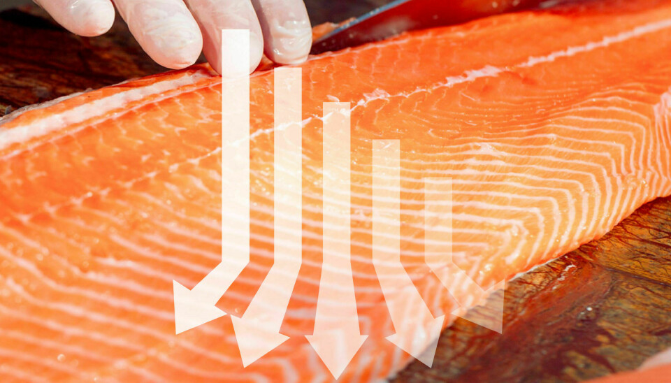 The salmon price went down last week.