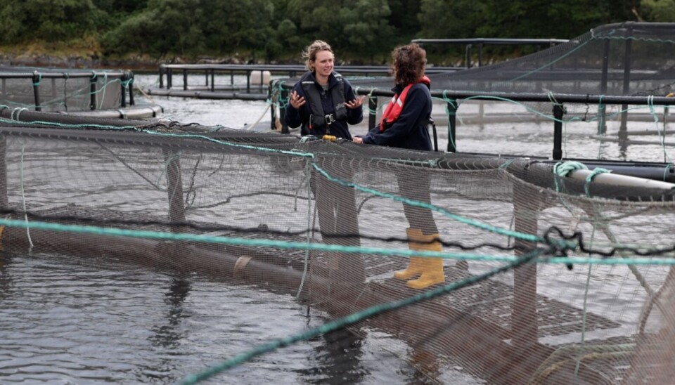 Cate Cannon, left, at the cage edge with Mairi Gougeon.