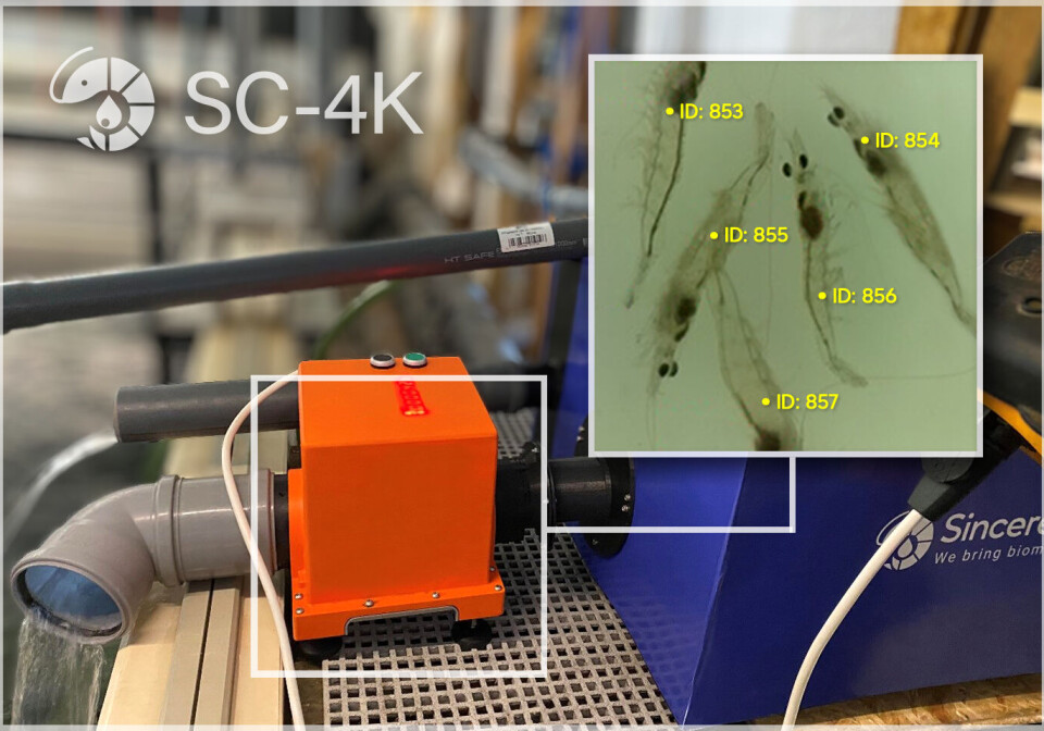 The SC-4K counts shrimp of between 2 and 8 cms with at least 90% accuracy.