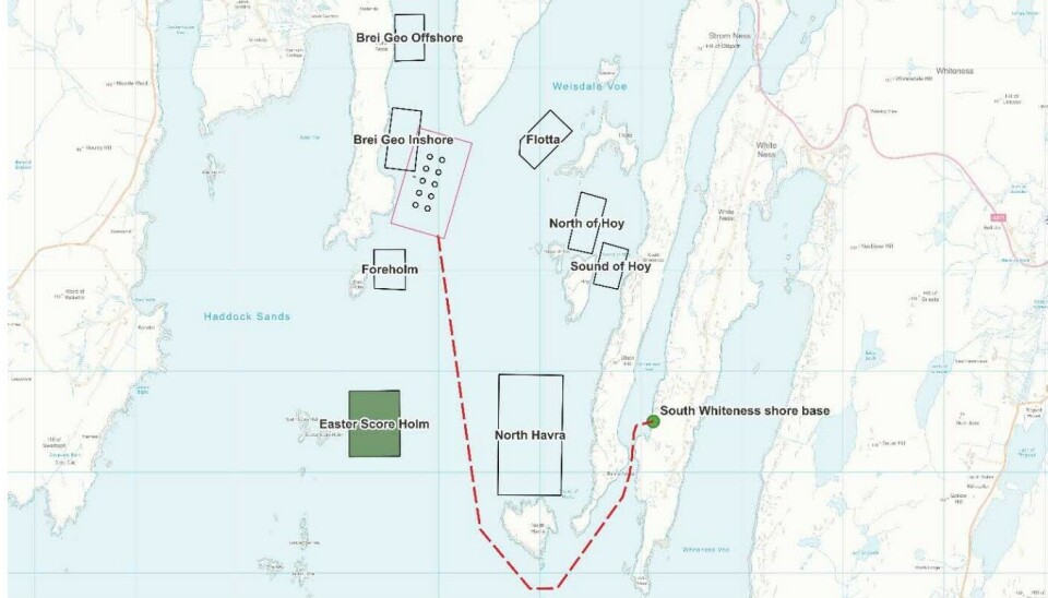 The proposed Billy Baa site, outlined in red next to Brei Geo Inshore. It is surrounded by six consented sites that are currently unused and would be given up if Billy Baa was developed. The site would be serviced from the South Whiteness shore base which already serves SSF's Easter Score Holm site (in green).