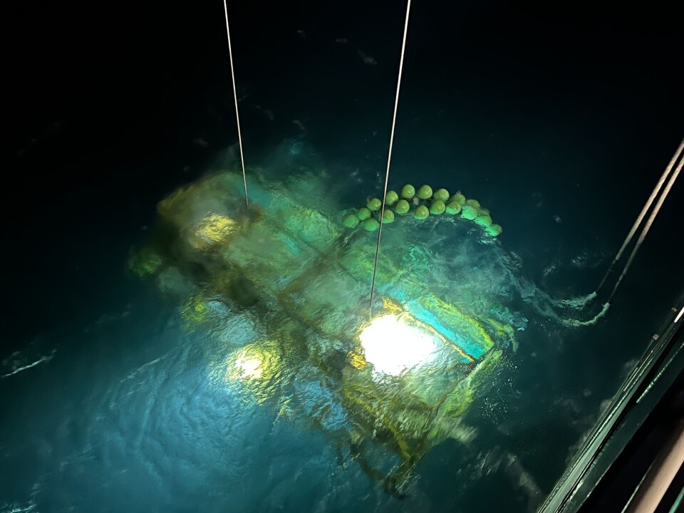 Ava Ocean's technology is said to harvest bottom-dwelling seafood such as scallops and sea cucumber without disturbing marine ecosystems.