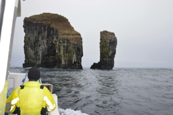 Farming in the Faroe Islands takes place in spectacular natural landscapes. HiddenFjord's ambition is not to use chemical treatments against salmon lice and as little mechanical delousing as possible. Click on image to enlarge. Photo: Therese Soltveit. Farming in the Faroe Islands takes place in spectacular natural landscapes. HiddenFjord's ambition is not to use chemical treatments against salmon lice and as little mechanical delousing as possible. Click on image to enlarge. Photo: Therese Soltveit.