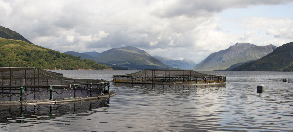 Mathematical model shows Loch Etive post-smolt plan all adds up, says Mowi