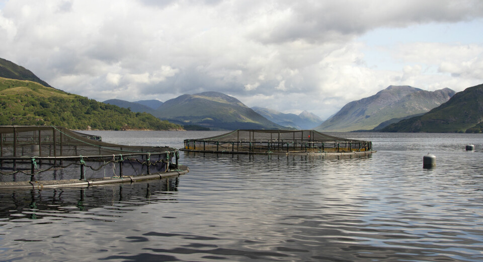 One of the Loch Etive trout farms which Mowi plans to use for post-smolts.