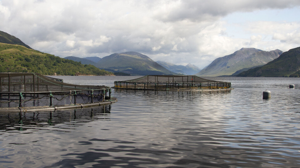 One of the Loch Etive trout farms which Mowi plans to use for post-smolts.