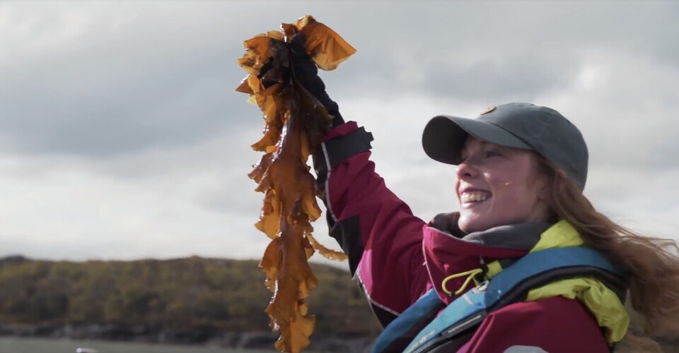 Amabel Hamilton, chief executive of seaweed grower Atlantic Mariculture, with farmed kelp.