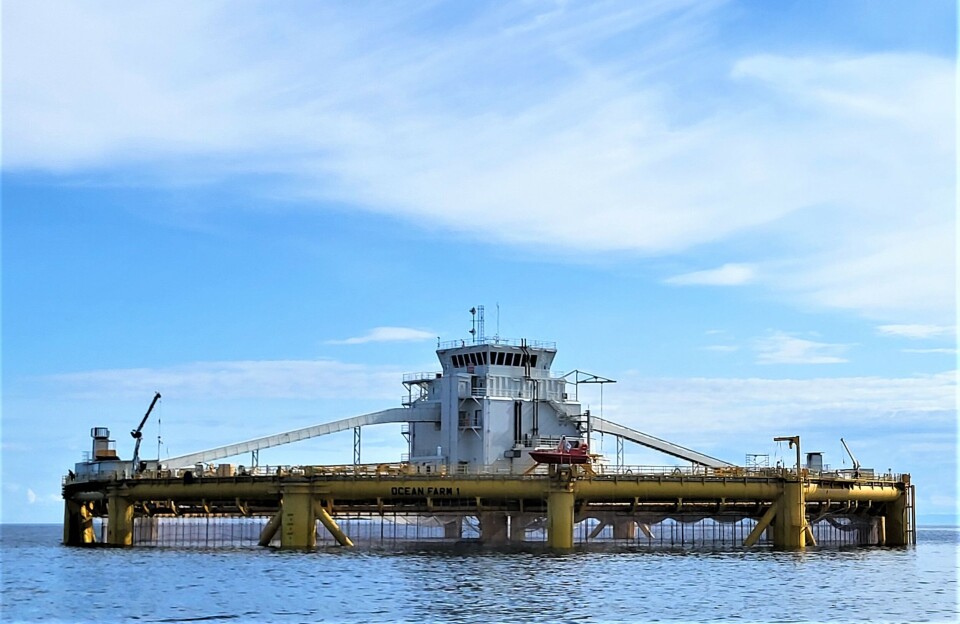 Ocean Farm 1, a semi-offshore farm built for SalMar in China and used in central Norway. SalMar Ocean operates both Ocean Farm 1 and Arctic Offshore Farming.