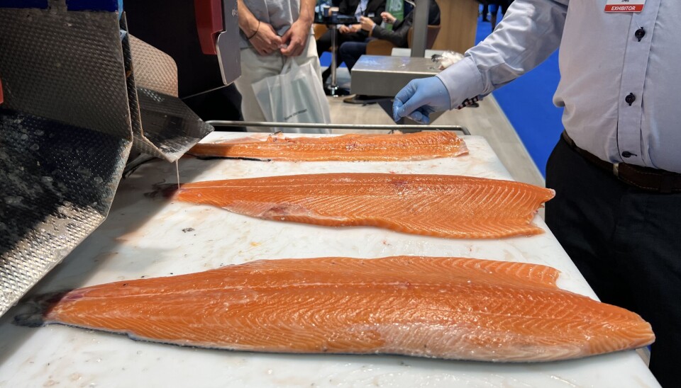 Norwegian salmon at Aqua Nor 2023. Norwegian salmon at Aqua Nor 2023.