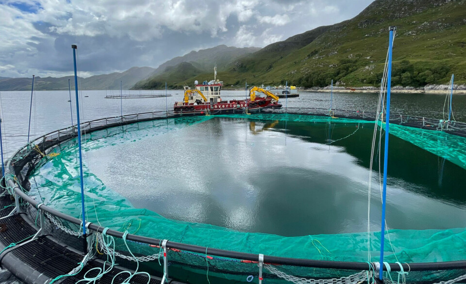 One of the new, larger pens being installed in Loch Nevis.