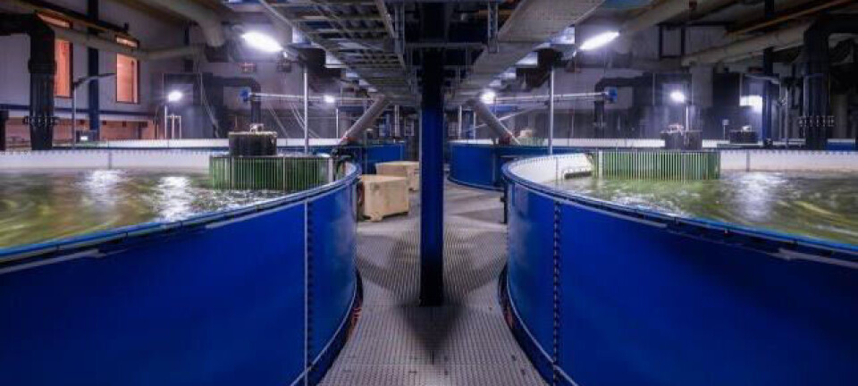 Kingfish Company RAS expansion 'is completed and working'