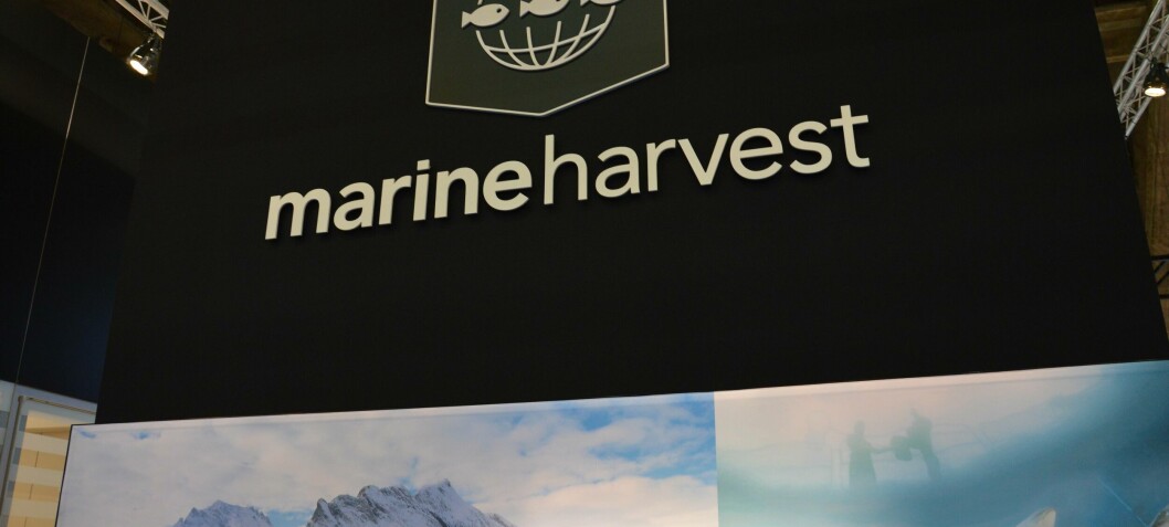 Marine Harvest misses Q1 volume target