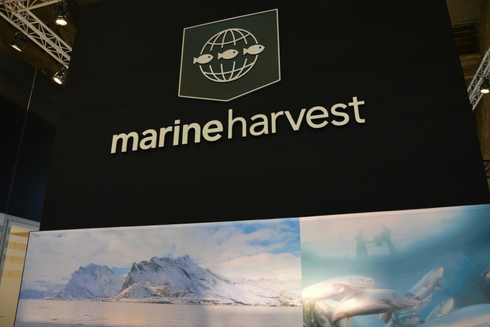 Figures from Marine Harvest show it fell a little short of guided harvest volumes in Q1 2018.