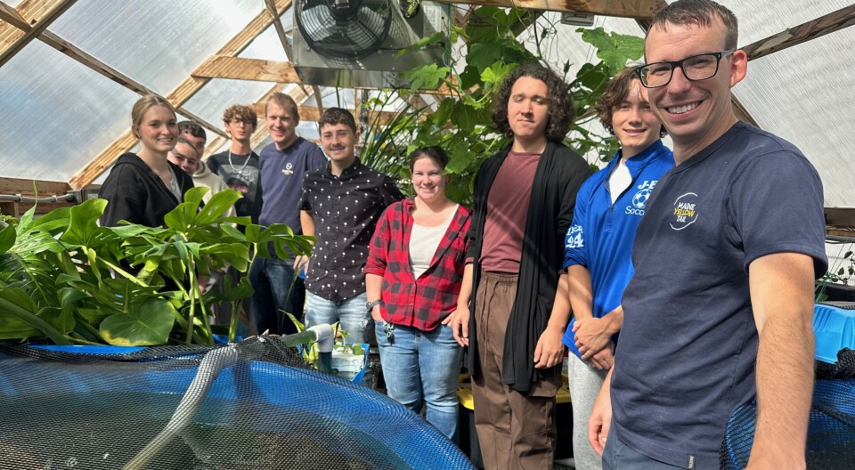 Second small harvest planned by Kingfish Maine