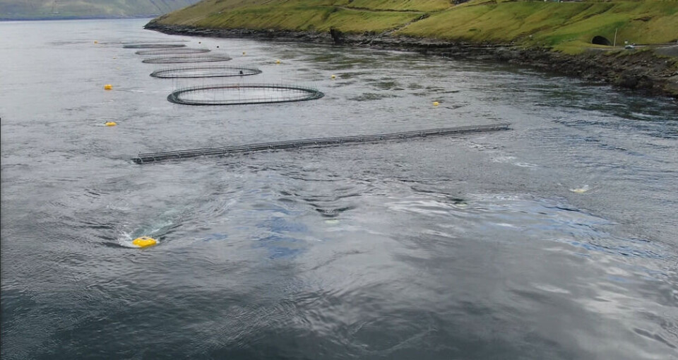 The new farm with the nets that Hiddenfjord has put at the back and front to mitigate strong currents.