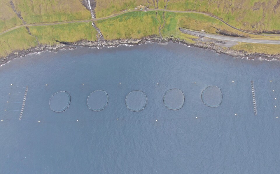 Hiddenfjord's site in the Vestmannasund Strait. The current-reducing nets can be seen at the ends of the row, mounted firmly to specially designed floats on the water surface and sinker tubes at the bottom.