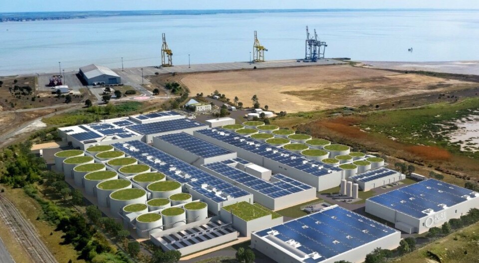 Pure Salmon pushes forward in France