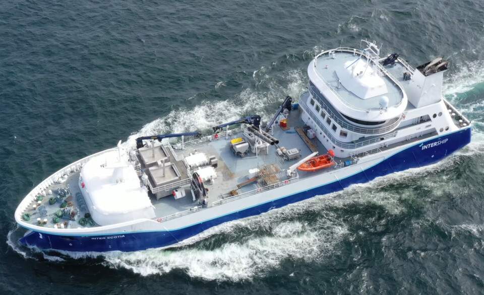 When wellboats such as the Inter Scotia, pictured, carry out delousing treatments for Mowi, wrasse cleaner fish are diverted into a separate tank by dropping through gaps in bars that are too narrow for salmon. But lumpfish, which Mowi Scotland no longer uses, proved more difficult to separate.