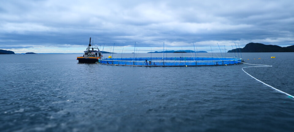 Grieg harvested 21,000 tonnes in Q1