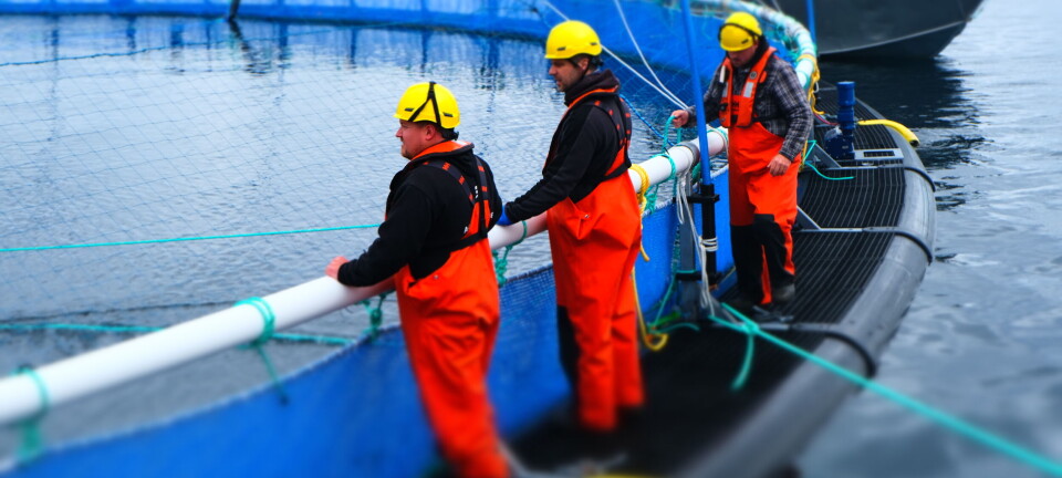 Grieg seeks partners to fund investment in Canada