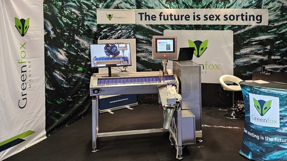Greenfox Marine's automated technology for gender sorting and comprehensive health screening of salmon smolts has been recommended for the award by the jury, but the decision lies with the Nor-Fishing Foundation board.