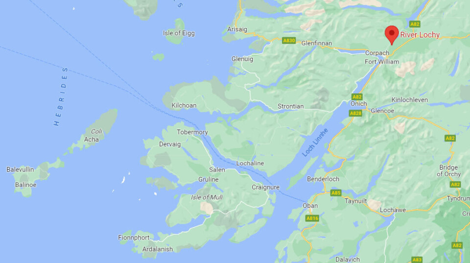 Salmon that are suspected to have come from a farm have been caught on the River Lochy.