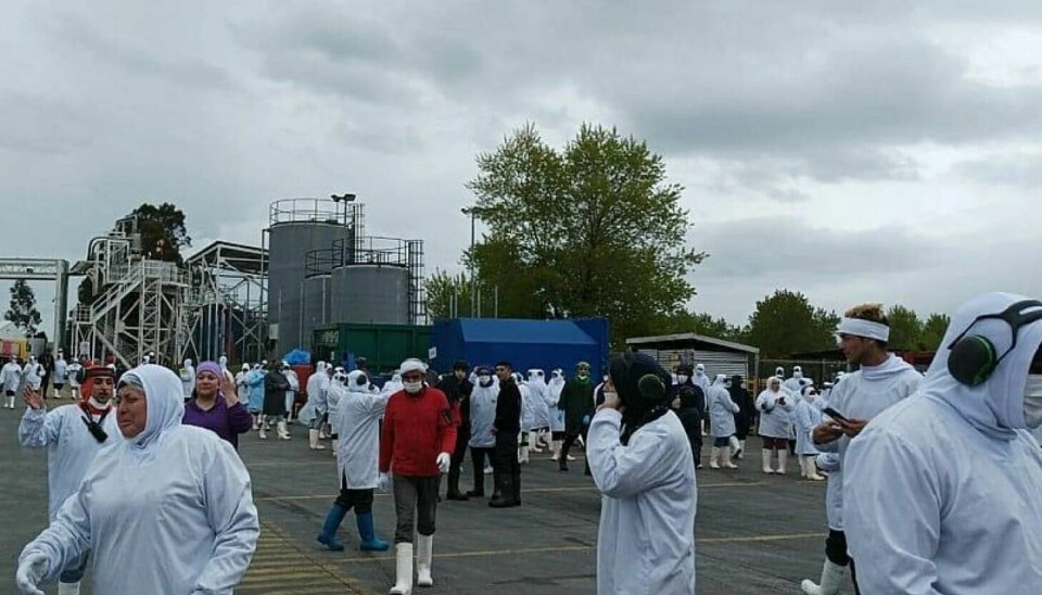 Salmon processing plant workers outside the factory on Saturday.