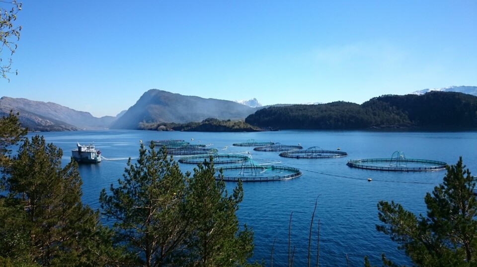 The report points to increased value creation largely thanks to the salmon farming industry.