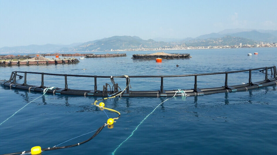 Smir and Badinotti team up to provide submersible cage and feeding