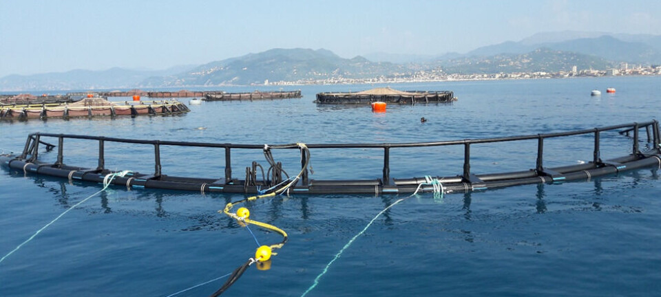 Smir and Badinotti team up to provide submersible cage and feeding solution
