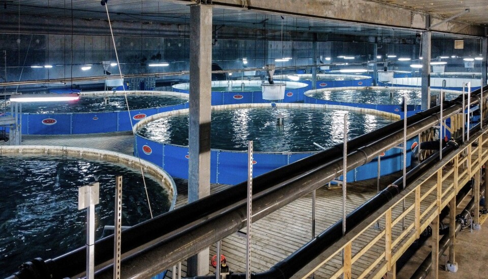 100,000 fish die in Canadian RAS farm