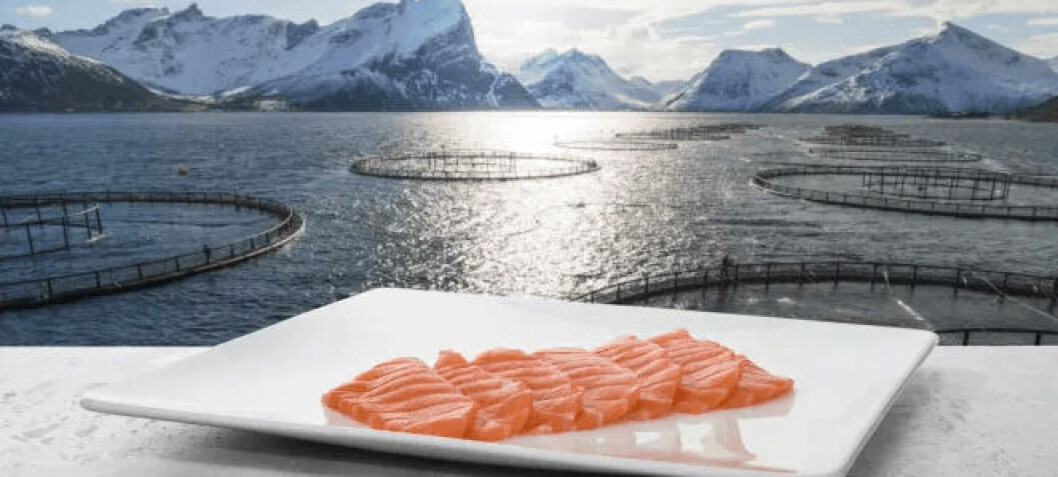 High seafood prices forecast throughout first half of 2022
