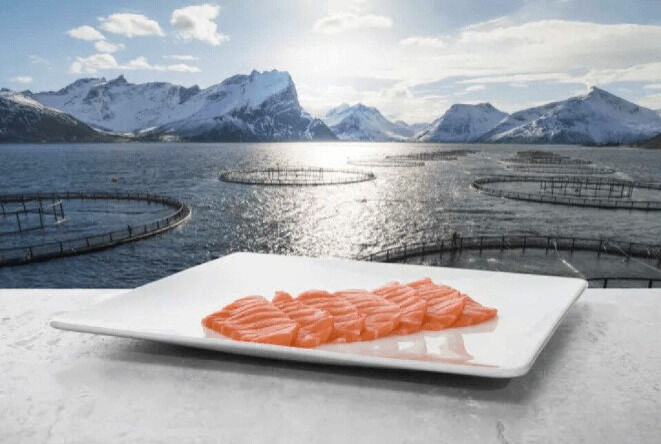 Salmon supply will be tight due to low production in Norway. Photo: Norwegian Seafood Council.