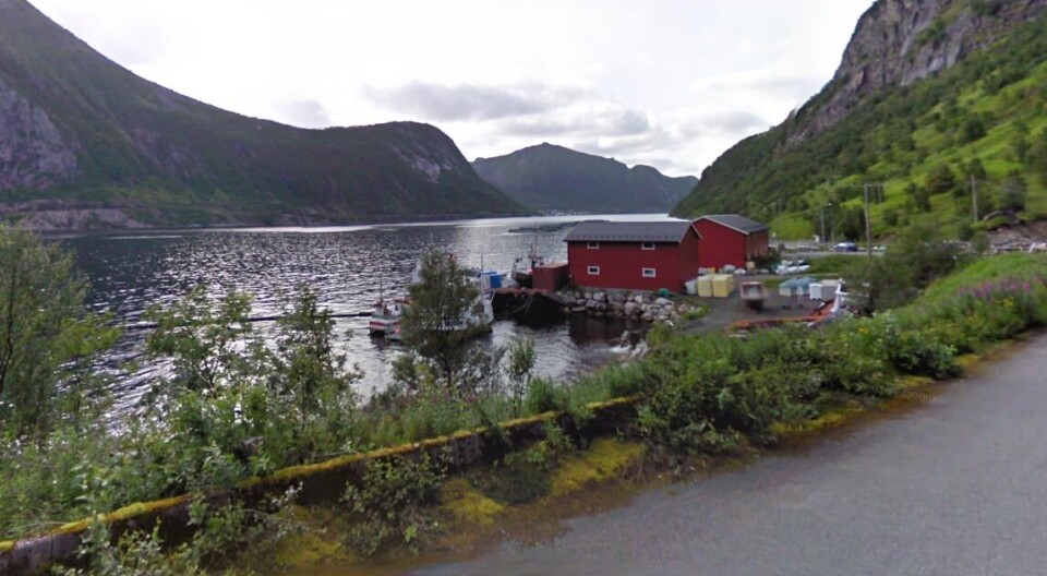 The ste at Ørnfjordbotn, Senja.