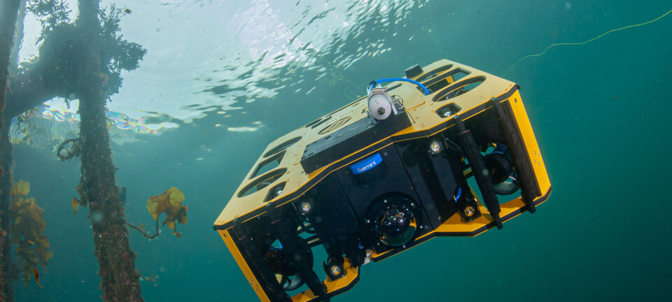 Fighting the phytoplankton with technology