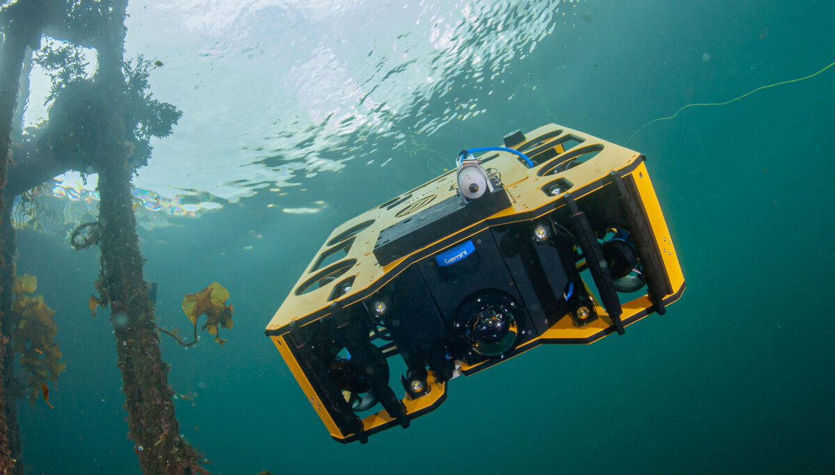 Easy-to-use ROV systems that withstand the forces of the sea