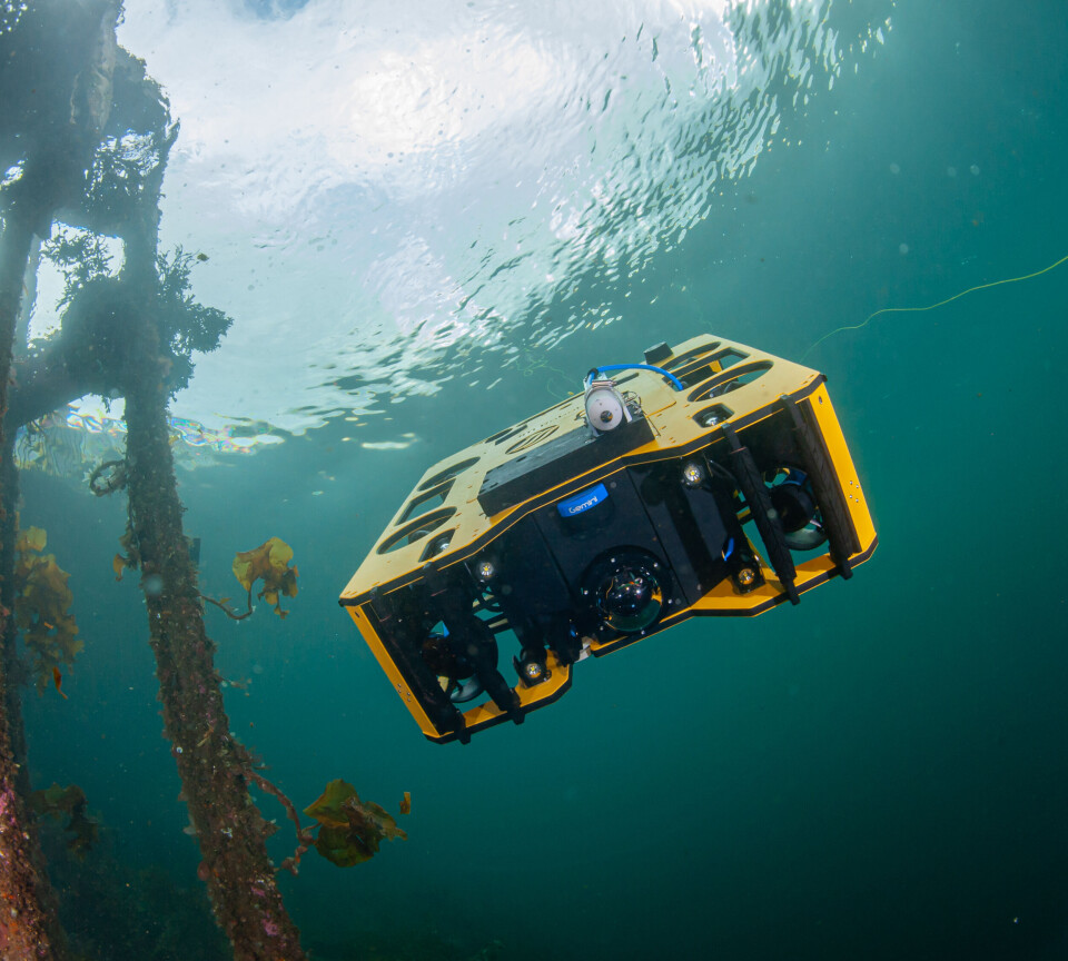 Easy-to-use ROV systems that withstand the forces of the sea