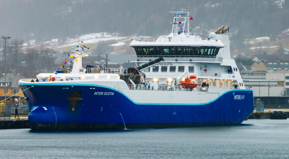 The 76.6-metre Inter Scotia is one of three RO-equipped wellboats in service for Mowi Scotland. The arrival of the Inter Alba will free some time for one of the vessels to be used in Ireland.