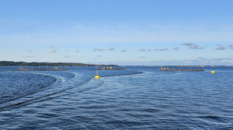 Lingalaks will use the Smirfeeder at its Toska South site.